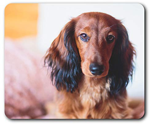 Dachshund Sausage Dog Puppy Mouse Mat Pad Computer PC Laptop Gaming Office Home Desk Accessory Gadget 2729