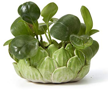 SEINHIJO Blumentöpfe Pflanzen Keramik Arts Skulptur Modern Dekor Blume Geschenk Statue Wohnzimmer Kunst Ornament Grün 18cm