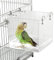 HOSUKKO Baignoire transparente pour cage à oiseaux 16,3 x 16,3 x 16,3 cm avec 4 crochets (bain d'oiseau)