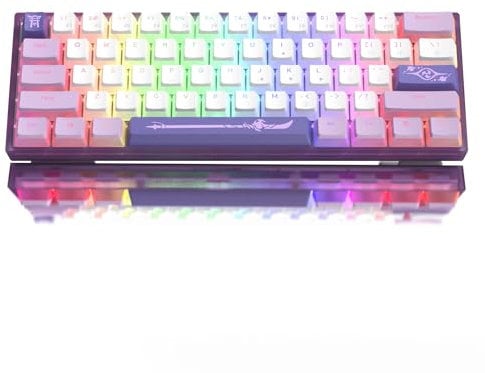 Womier Tastiera meccanica da gioco con cavo RGB WK61, 60% per cento, tastiera sostituibile a caldo con tasti PBT, interruttore rosso lineare per Windows/Mac, viola