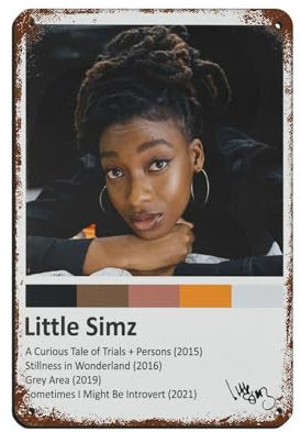 NTRECS Little Simz Poster, Blechschild, Vintage, Metall, Pub, Club, Café, Bar, Zuhause, Wandkunst, Dekoration, Poster, Retro, 20 x 30 cm