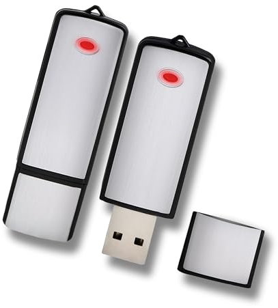FISHTEC - Clé USB Microphone 4 Go - Enregistreur Micro Espion - Dictaphone 13h d'Enregistrement - Batterie Intégrée - Format .WAV - Temps de Charge : 3h - Design Élégant - Haute Discrétion - Pratique