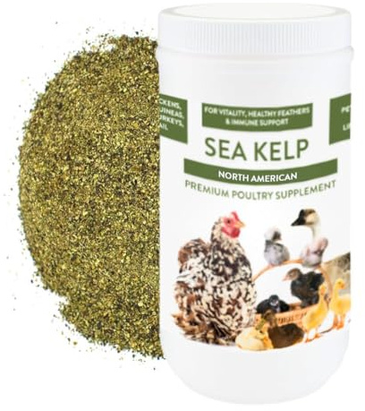 Kelp for Chickens & Duck Feed (5 Pound): Chicken Vitamins | Chicken Supplements | Vitamins for Chickens | Pampered Chicken Mama