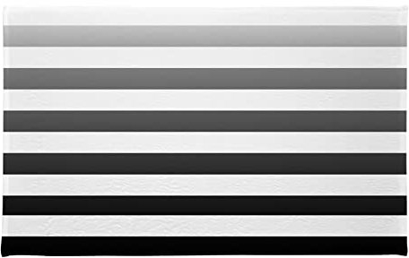 LB Schwarz Weiß Gestreift Teppich Ombre Farbe Bodenmatte Rechteck Abstrakt Geometrisch Weich Waschbar Innen Fußmatte für Wohnzimmer Badezimmer Schlafzimmer,50x80cm