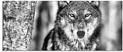 Pixxprint Glasbild Panorama, Wandbild aus Echtglas, Wachsamer Wolf, 100x40 cm, inkl. Aufhängung und Abstandshalter