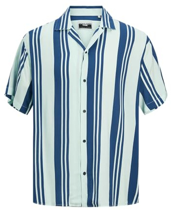 JACK & JONES Herren Jcojeff AOP Resort Shirt Ss Relax Kurzarmhemd 12252536,Soothing Sea/Stripes:Stripe,XL