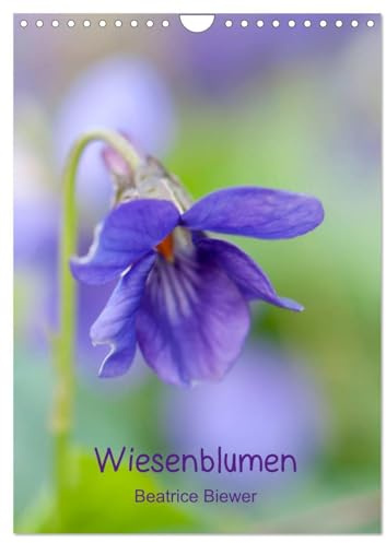 Wiesenblumen (Wandkalender 2026 DIN A4 hoch), CALVENDO Monatskalender: Die kleinen wilden Blumen von den Wiesen und Feldern (CALVENDO Natur)