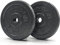 PROIRON Hantelscheiben Set Gusseisen mit 25mm Bohrung, 1,25kg/2,5kg/5kg/10kg Guss Scheiben Gewichte Hantel Sets, Gewichtsscheiben Set