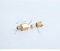 Hose Adapter,Tap Connector,5PCS Compression Ferrule Tube Compression Fitting 4-8mm OD Tube Connector Machine Tool Lubrication Brass Oil Pipe Fitting Adapter-M8 6MM