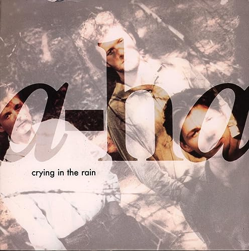 Crying In The Rain / (Seemingly) Non Stop July [Vinyl Single]