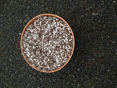 Portal Cool 2Lt: abono para la mosca de Venus Trampas/Plantas carnívoras ** Mejor Compost