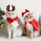 Weihnachtskostüm Katzen Hunde, 4 Stück Haustier Kostüm Weihnachten Kleidung Rentier Geweih Stirnband Weihnachtsmütze Schal Mantel, Rot Katzenbekleidung Weihnachts Outfit Geschenk für Klein Hund Katze