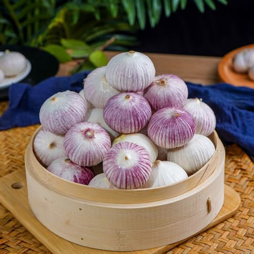 4 pcs steckknoblauch(garlic,knoblauch) winterharte kübelpflanzen gemüsepflanzen gemüse balkon gemüse knoblauch pflanzen gartenpflanzen steckzwiebeln pflanzknoblauch knoblauchgranulat