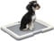 PawHut Dog Toilet Tray, Dog Litter Pee Pad Tray for Training Dogs, Dog Potty Tray Puppy Tray Pad Holder for Indoor, Balcony, Outdoor, 63 x 49 x 6cm