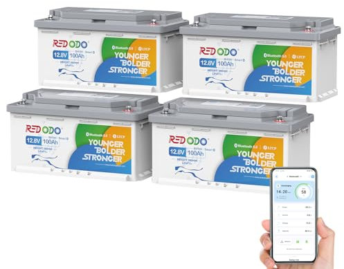 Redodo 12V 100Ah Bluetooth(4 Pack) Batterie Lithium,Batterie LiFePO4 avec Protection Low-Temp,BMS 100A,1280Wh,Rechargeable,Hauteur 189MM,Batterie de Remplacement Plomb-Acide Parfaite pour Camping-Car
