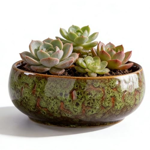 Lotus Bonsai Schale, Lotus Pflanze Keramik Blumenschale, Lotus Schüssel Pflanzer 16.5*6.5CM, Hydroponischer Pflanztopf Aus Keramik, Sukkulenten Topf Für Blume Succulent Hydroponic Pflanze(Grün)