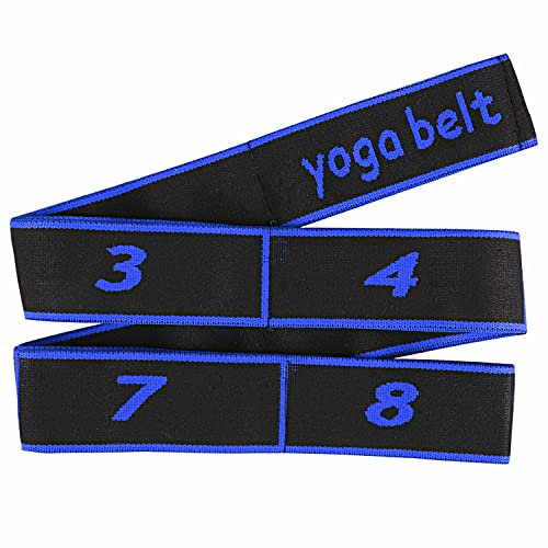 Fitnessbänder, Resistance Bands mit 8 Kraftstufen Terrabänder Widerstandsbänder Gymnastikband für Yoga Pilates Sport Home Gym(Blau)