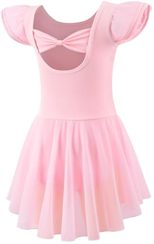 Mecceos Ballet Leotards with Skirt for Toddler Girls Dance Ruffle Ballerina Dresses Outfits (Ballet Pink, 4-6 Years, MEAM-251)
