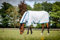 Amigo Aussie Allrounder Fliegendecke 72 Navy Check
