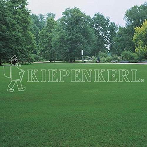 Kiepenkerl RSM 2.2.2 Gebrauchsrasen Extreme Trockenlagen 10kg