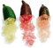 Nuovi semi freschi di frutta lime finger 80 pezzi Aachondra