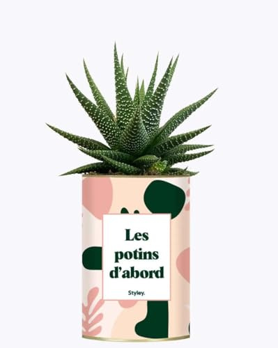 Les potins d'abord - Idée Cadeau Cactus