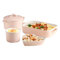 LUCBEI Lasagnera Set di bakeware a 4 Pezzi, Set for la Cottura for Cucinare, Cucina, Regali, Ceramica Rettangolare Antiaderente casseruola e Porcellana ramekins, Rosa Teglie da Forno