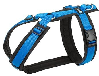 Anny·x Fun Hundegeschirr, Verstellbar, Farbe Schwarz-Blau, Verschiedene Größen (Schwarz-Blau, M)