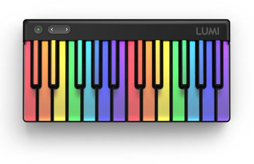 ROLI LUMI Keys - Teach Yourself Piano with 24-Key Light-Guided Keyboard (Subscription Included)