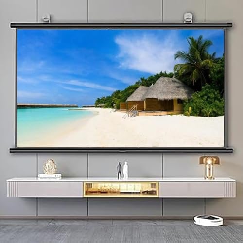 YHDMDQ Manual Pull-Down Projection Screen 30 40 50 60 72 Inch Projector Screen, 4:3 16:9 4K HD Home Theater Movie Screen, Portable Screen For Outdoor Indoor(30 Inch(16:9))