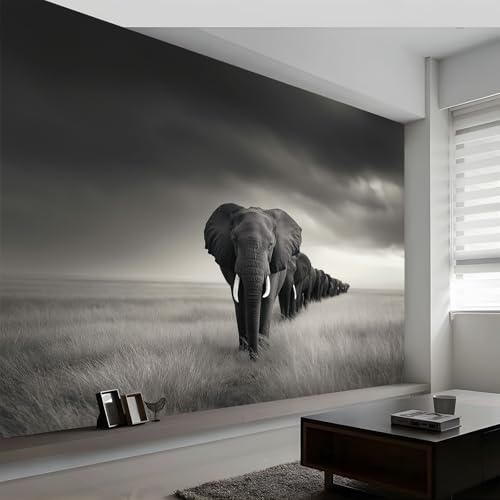 Papier Peint Panoramique Prairie Animaux Éléphants, Papier Peint Intissé Photographie de Nature Art Esthétique Moderne pour Salon Adulte Chambre D'Enfants Restaurant Décoration Murale 250L x 175H cm