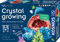 Kosmos 616854 Crystal Growing - Kristalle züchten Experimentier Set für Kinder mit mehrsprachiger Anleitung (DE, EN, FR, IT, ES, NL)