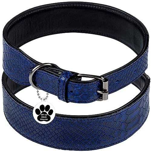 FAVPET Luxus Echtleder Halsband Hund Breit mit QR Code Anhänger, Gepolstertes Hundehalsband Leder Breit, Breites Lederhalsband Hund, Breite Hunde Halsbänder, Welpenhalsbänder Leder (Blau, M)