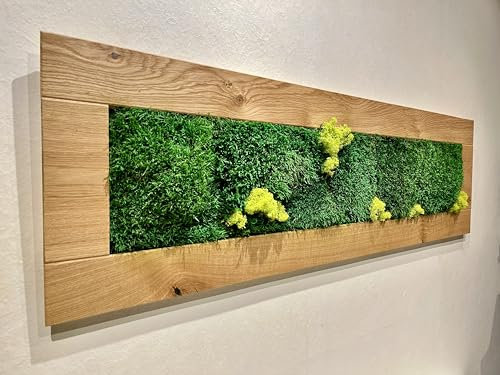 Generisch Moosbild 109 x 34 cm Waldboden Flachmoos Islandmoos Echtholzrahmen Eiche geölt SKU234