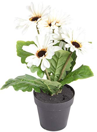 JSC künstliche Edel-Gerbera mit 5 Blüten im schwarzen Kunststofftopf (Creme)