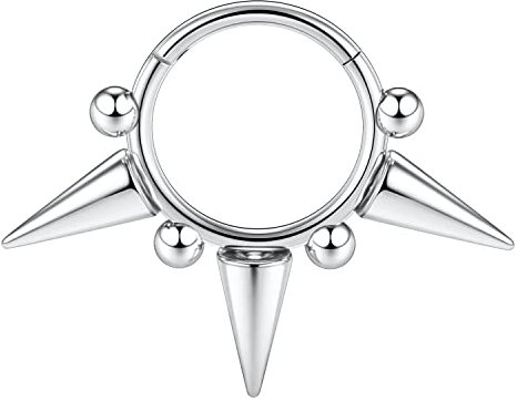 AROWRO 316L Silber Septum Schmuck 16G Septum Ringe Spike Daith Schmuck 16G Conch Piercing Schmuck Higend Segment Nase Hoops Septum Hoop Clicker Ringe Rook Helix Tragus Knorpel Lobe Ohrringe 10mm