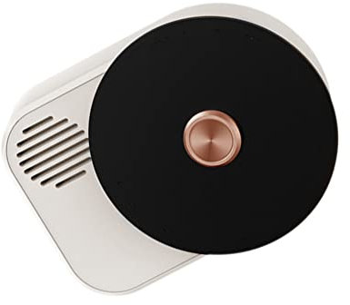 iSpchen Auto Lufterfrischer Diffusor Entlüftungsclip Vintage Plattenspieler Dekoration Ornamente Aromatherapie Diffusor Autoduft Parfüm ätherische Öle Vent Clip für Auto Entlüftung innenraum Zubehör
