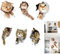 Katzen Wandtattoo,6 Stück Süß 3D Katzen Wandtattoo,Wandsticker Wandaufkleber,Katzen Aufkleber,WC Aufkleber Küche Möbel Tür Wasserdichte,kühlschrankaufkleber,Wandtattoo Tier