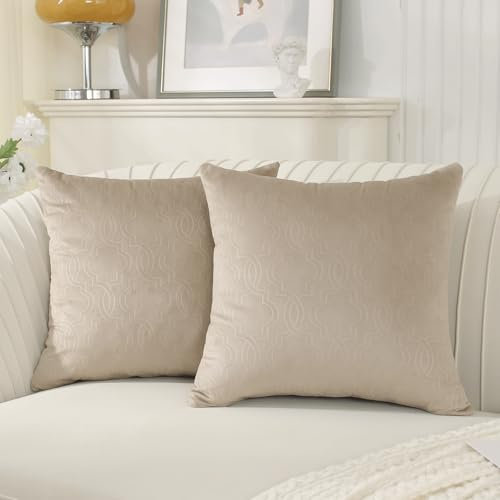 Ystyle Funda Cojin Sofa 60x60 Decorativa Hogar de Terciopelo para Salon Cama Jardin Dormitorio Cojines Decorativos de 2 Fundas para Almohadones Cojin Silla con Cierre Modernos, Camel