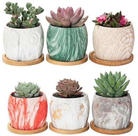 Sosoport Keramik Blumentopf 12 Stück mit Eulenmuster, Hautfarben