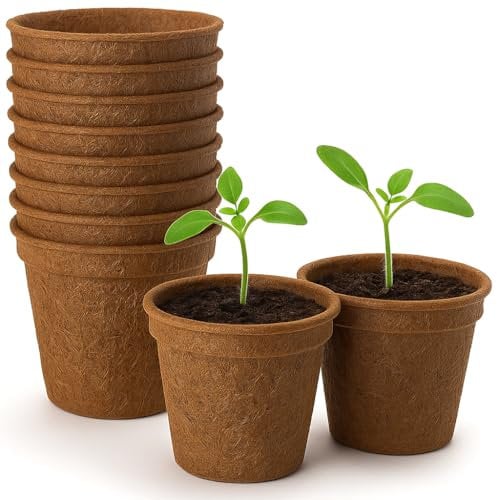 GardenersDream Biodegradable Coir Plant Pots Eco-Friendly Coconut Fibre for Seedlings, Cuttings (10, 23cm)