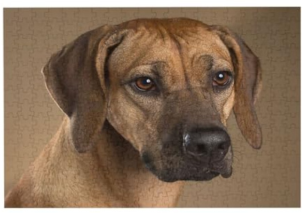 300-teiliges Rhodesian Ridgeback-Puzzle für Erwachsene – Holzpuzzle für Erwachsene und Senioren