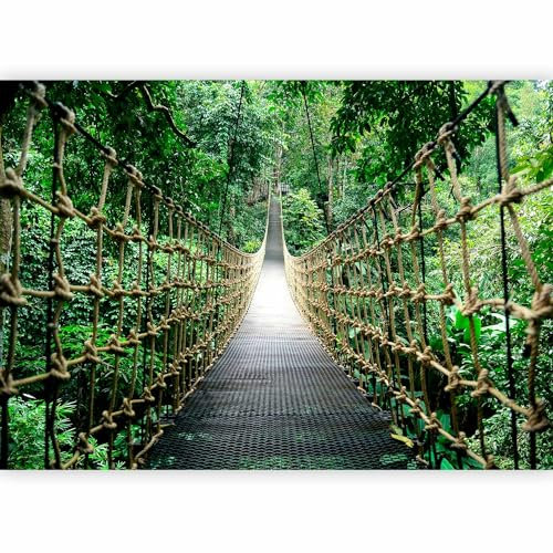 murando - Papier peint panoramique nature 350x256 cm - Revêtement mural décoration pour chambre salon - Design moderne - Vert - Arbres forêt plantes nature pont jungle photographie b-B-0622-a-a