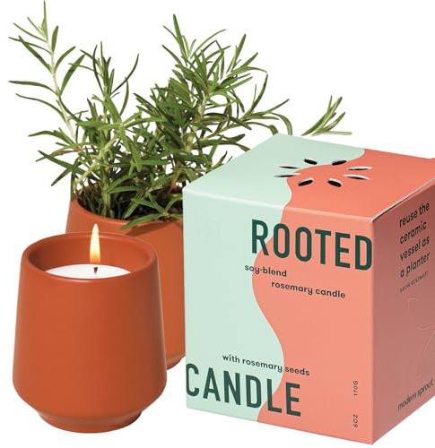 Modern Sprout - 2 in 1 Cucumber Scented & Soy Candle with Seeds that Grows into Rosemary Plant - 6 oz w/ 42 Hr Burn Time in Matte Glaze Ceramic Vessel Ideal for Indoor Herb Garden