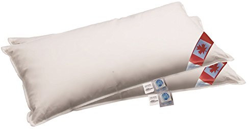 betten-traum-land NEUHEIT: 2 Premium Air-O-Cell 3-Kammer Kissen außen 100% Daune 40x80 cm