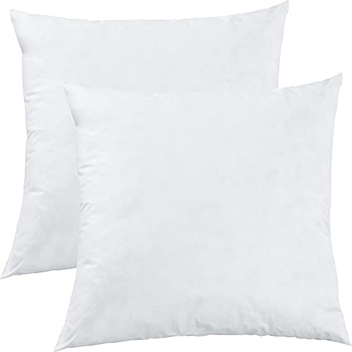 Erwin Müller Kissenfüllung Riga 2er-Pack 100% Federn weiß Größe 50x50 cm