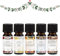 Duftöl Set XMAS 5x 10ml - Apfel-Zimt, Zimt-Orange, Wintermärchen, Weihnachtsduft & Vanille | Weihnachtsöl - Weihnachtsduft | feinstes Parfümöl für Aromatherapie, Duftlampen, Diffuser