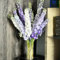semi di delphinium Delphinium elatum piante soggiorno fiori estivi, verdi da giardino pianta appartamento bonsai esotiche in vaso, 300pcs