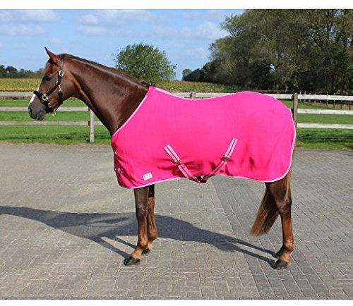 QHP Fleecedecke Color Abschwitzdecke Kreuzgurte Trendige Farben (125 cm, Fuchsia)