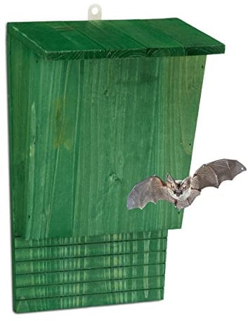 Relaxdays Casa para Murciélagos, Refugio Grande, Madera, 37x22x12,5 cm, Caseta con Entrada Estrecha, Inclinada, Verde, Acero